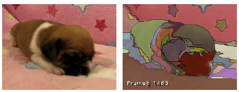 Weakly Supervised Learning of Object Segmentations from Web-Scale Video preview