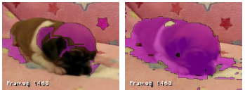 Weakly Supervised Learning of Object Segmentations from Web-Scale Video preview