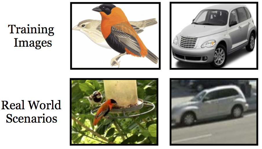 Fine-grained Recognition in the Wild: A Multi-Task Domain Adaptation Approach preview