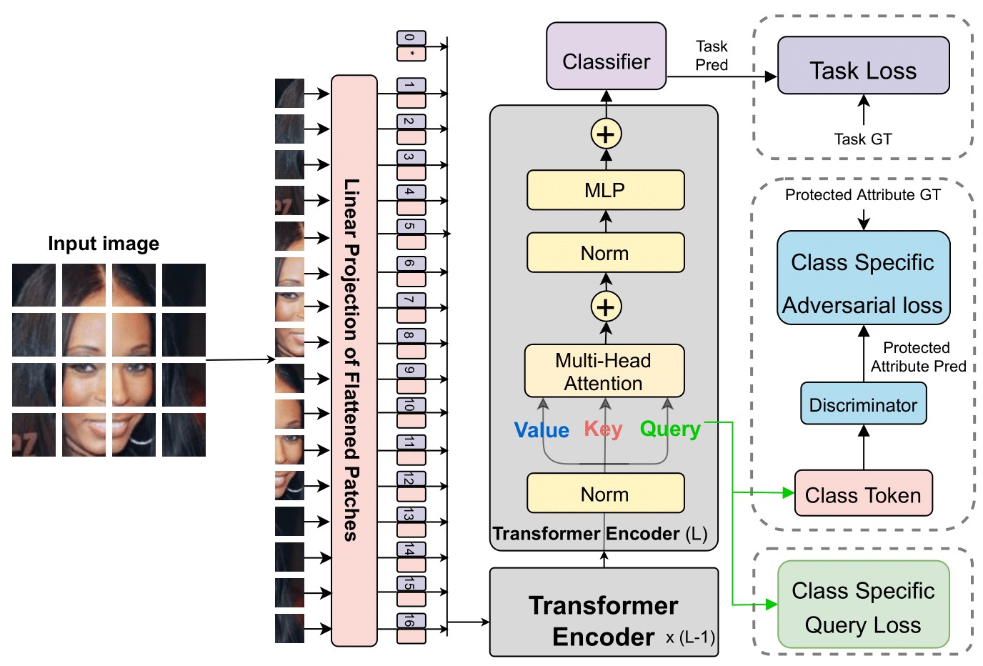 Mitigating Bias in Visual Transformers via Targeted Alignment preview