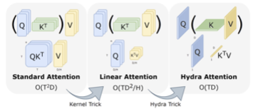 Hydra Attention: Efficient Attention with Many Heads preview