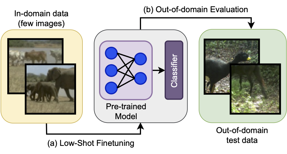 Benchmarking Low-Shot Robustness to Natural Distribution Shifts preview